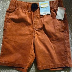 Cat n Jack Boys Shorts